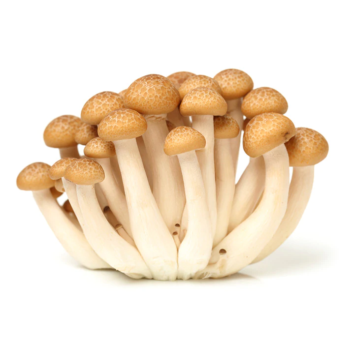 Buy Organic Mushrooms Online USA, Organic Mushrooms for sale, where to buy Organic Mushrooms online Alaska, where can i buy Organic Mushrooms Arkansas